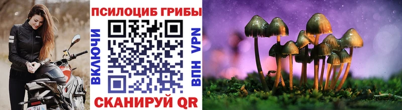 сколько стоит  Верея  Галлюциногенные грибы MAGIC MUSHROOMS 